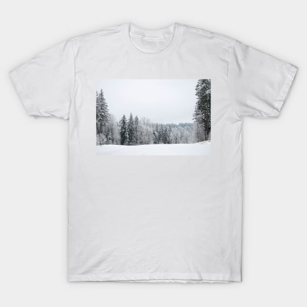 Snow White Clearing In The Woods T-Shirt by KirtTisdale